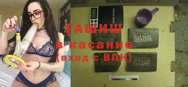 молекула духа Бородино