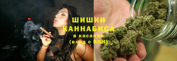 молекула духа Бородино