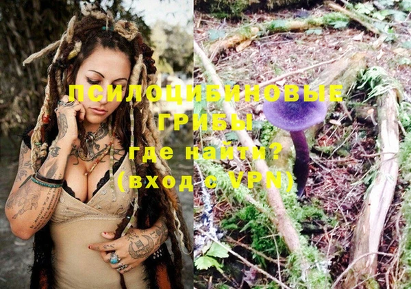 молекула духа Бородино