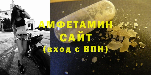 молекула духа Бородино