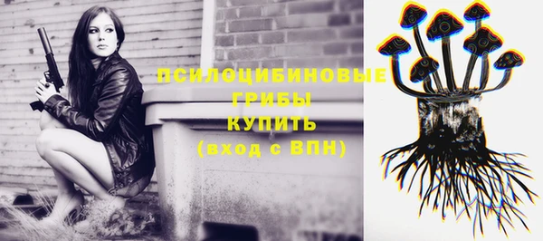 гидра Бугульма