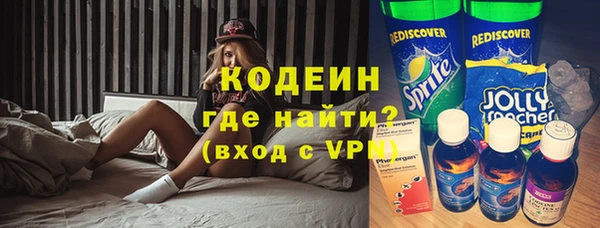 молекула духа Бородино